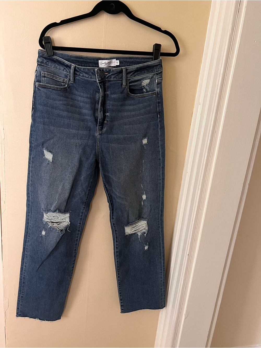 Carly Jean Los Angeles Distressed Chrissy Jeans - medium wash